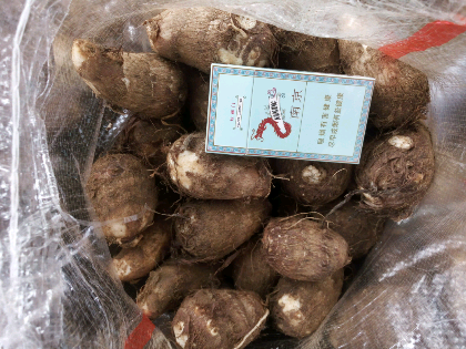 刘金华