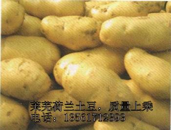 Ӧ:
