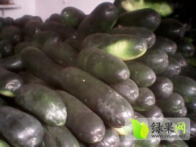 2014年5月13日广西西乡塘子弹头黑皮冬瓜价格