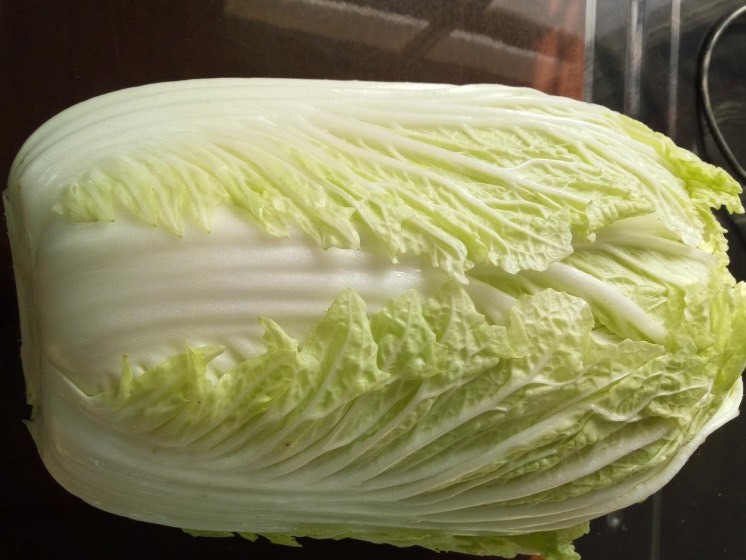 葛正旭 电 话: 昌邑白菜种植历史悠久,主要品种87—114,义和秋,面积大
