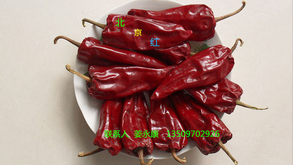 供应山西忻府北京红辣椒香甜可口