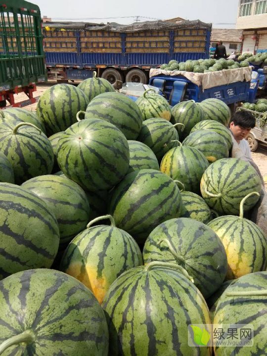 砀山哪个镇的西瓜最多,_大山谷图库