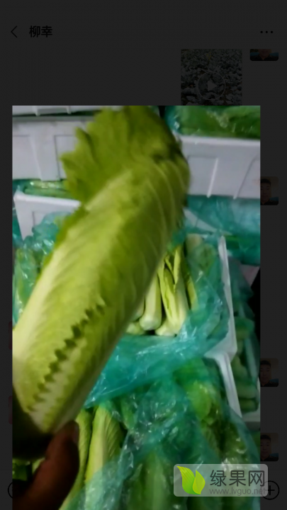 供应:长期供应菜苔,龙牙菜!