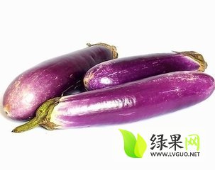 长紫茄茄子简介 绿果茄子品种