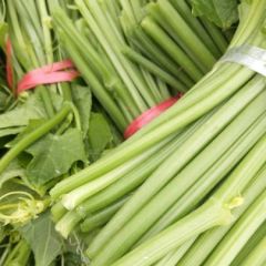 批发龙须菜，价格优惠