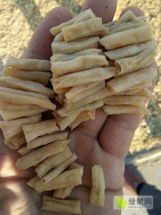 2019年山东成武干豇豆价格