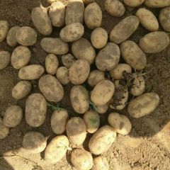 只有你想不到的没有我做不到的