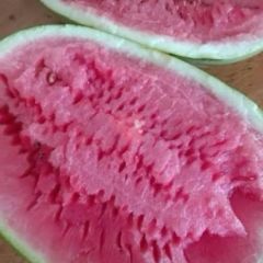 甘肃靖远西瓜开始装货了！！！！快点来！