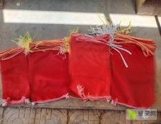 塑料纱网袋红薯网袋苹果网袋胡萝卜网