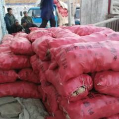 山西大同天镇县土豆甘蓝包菜。