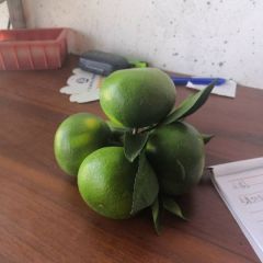 城固密橘现已上市 密橘皮薄汁多