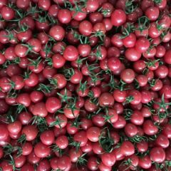 大量供应各种圣女果