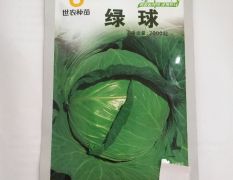 韩国世农绿球甘蓝种子正品行货