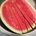 沙地大棚无籽美都西瓜