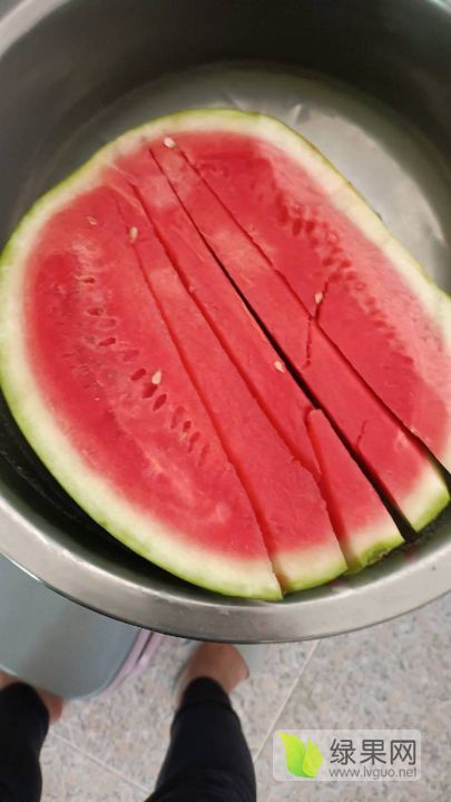 麒麟西瓜价格