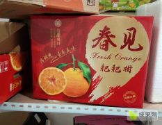 产地直发耙耙柑一件也批发