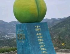 贵州省安顺市六马蜂糖李