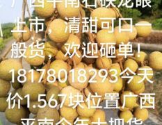 广西平南龙眼