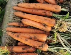 河南开封祥符区