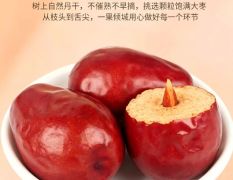 新疆和田大枣厂家批发 产地现货长期供应可支持代发