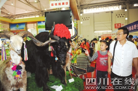 西部农交会四川签下126.4亿