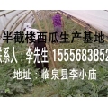 半截楼西瓜供应