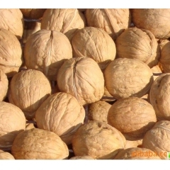 云南特产山核桃，500kg起，35元/kg