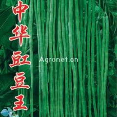 供应豇豆种子（中华豇豆王）