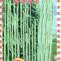 供应豇豆种子——美国白马豆角