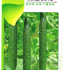 供应奥宝新秀-黄瓜种子