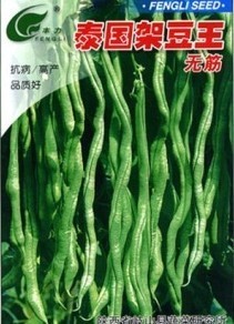 泰国架豆王——菜豆种子