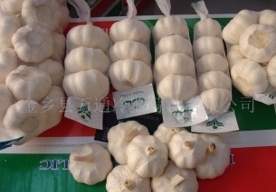 供应出口金乡大蒜 蒜片