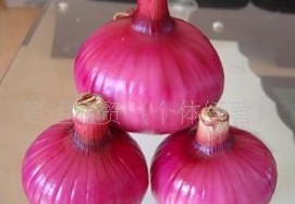 供应洋葱
