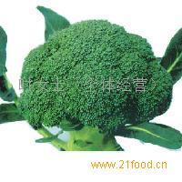 供应西兰花，青花菜，绿花菜