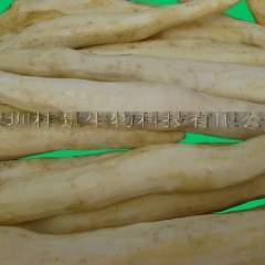 供应清补凉汤料生鲜淮山（山药）
