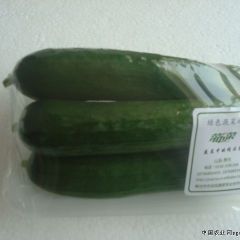 供应各种无公害黄瓜