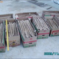 供应正宗鸡皮糙山药，山药豆，山药苗子