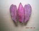 有机蔬菜瓜果：南海紫番薯