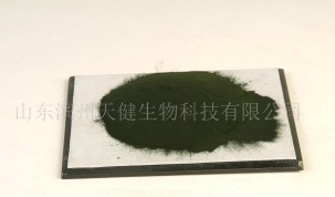 供应螺旋藻----螺旋藻粉