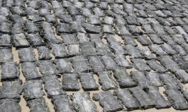 供应散装干海带,干海带结