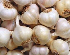 厂家专业批量供应优质大蒜