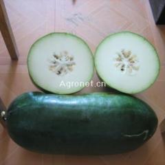 湖北供应大量黑皮冬瓜