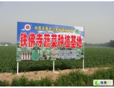 (多图) 通许县数万亩土豆求购销商