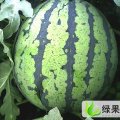 山东惠民京欣：多年的代办经验