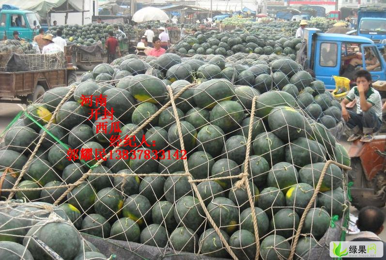 河南开封西瓜