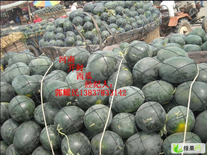 河南开封西瓜