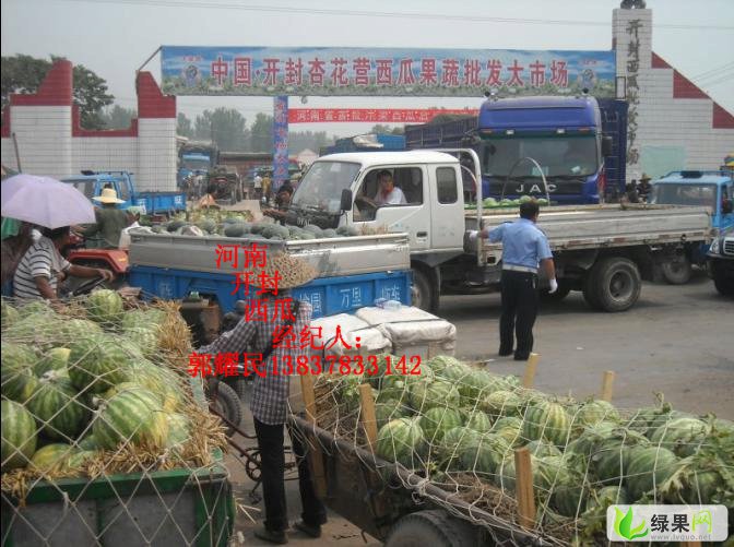 河南开封西瓜