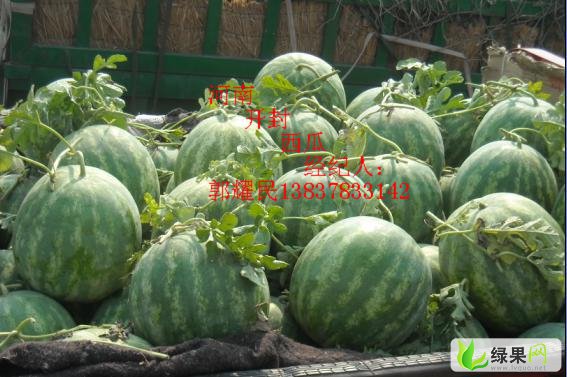 河南开封西瓜