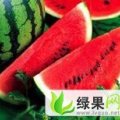 辽宁省锦州市黑山县半拉门镇陆地西瓜上市