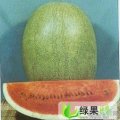 吉林洮南安定西瓜上市了：新红宝、地雷